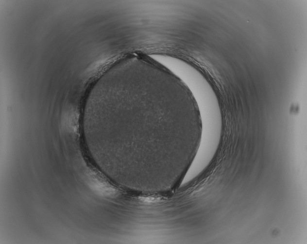 X0000096410693200802071655