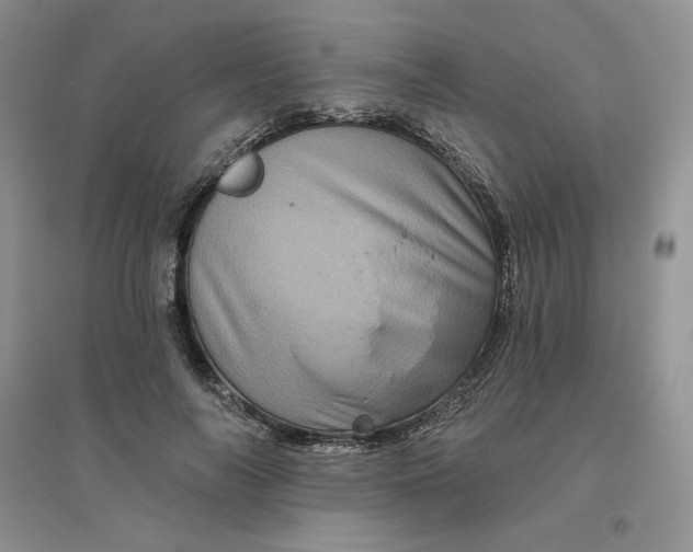 X0000096410694200802071655