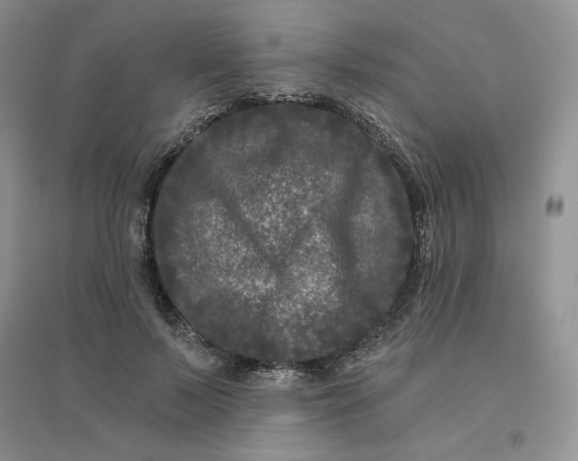 X0000096410695200802071655