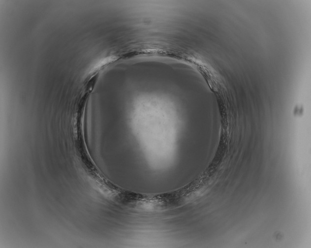 X0000096410696200802071655