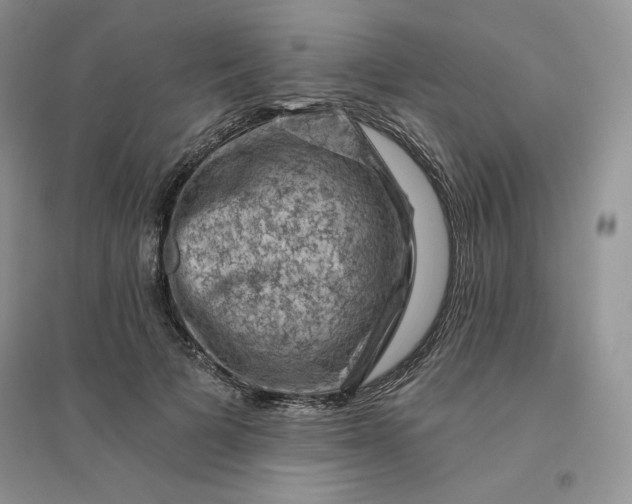 X0000096410697200802071655
