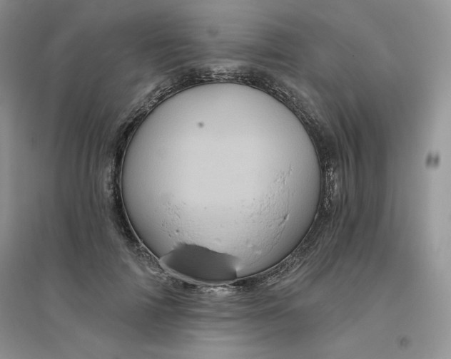 X0000096410698200802071655