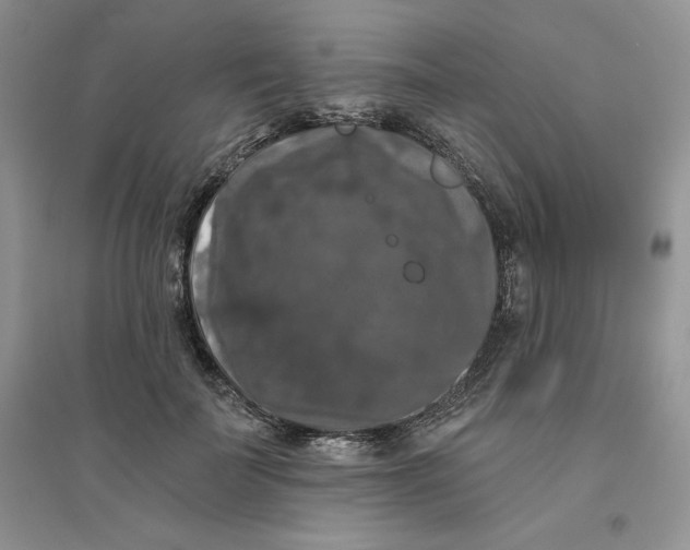 X0000096410699200802071655