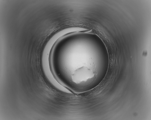 X0000096410700200802071655