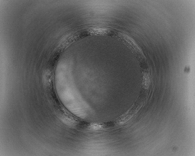 X0000096410701200802071655