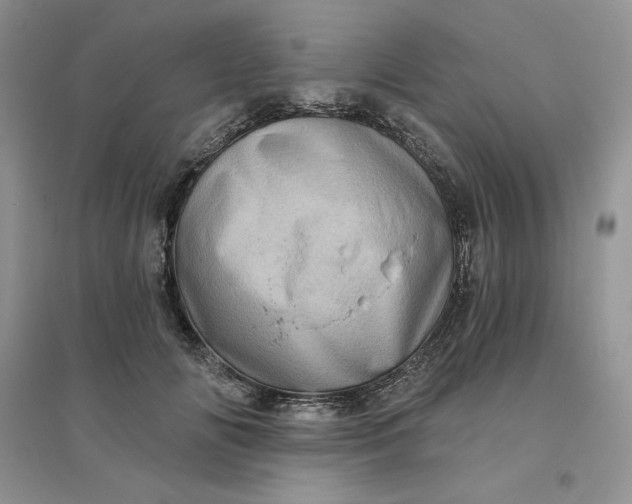 X0000096410702200802071655