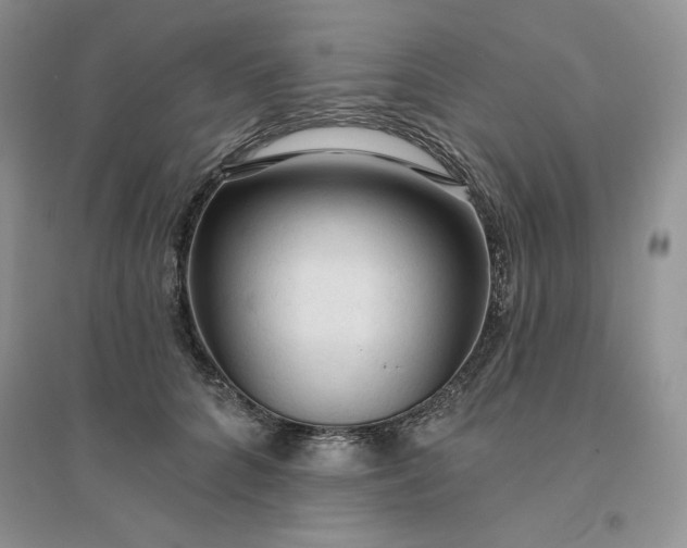 X0000096410704200802071655