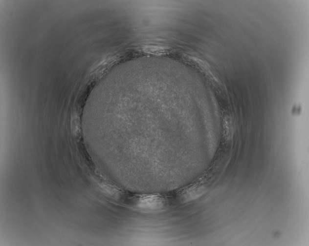 X0000096410705200802071655