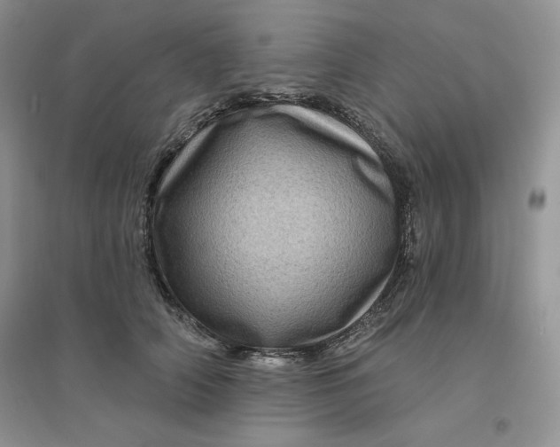 X0000096410706200802071655