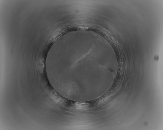 X0000096410707200802071655