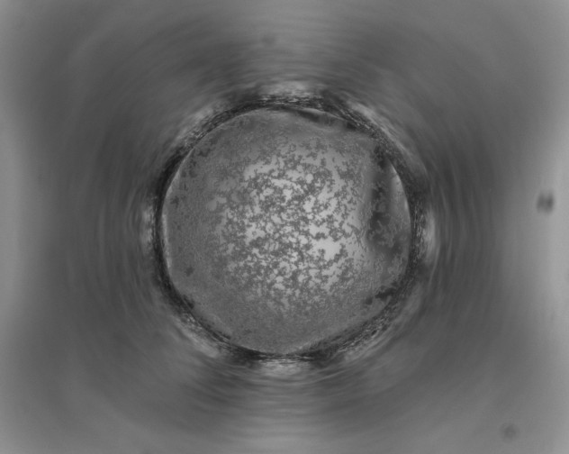 X0000096410708200802071655