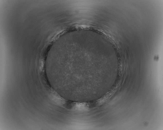 X0000096410709200802071655
