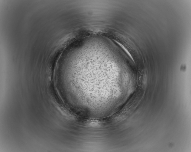 X0000096410710200802071655