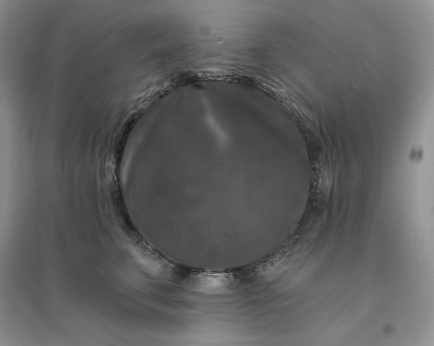 X0000096410711200802071655