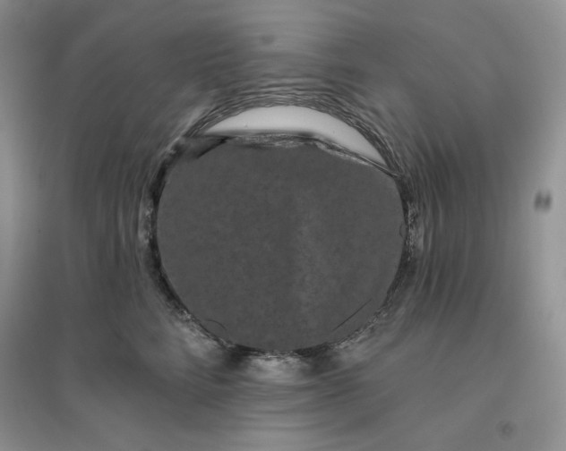 X0000096410712200802071655