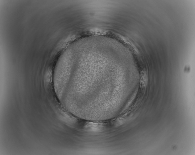 X0000096410713200802071655