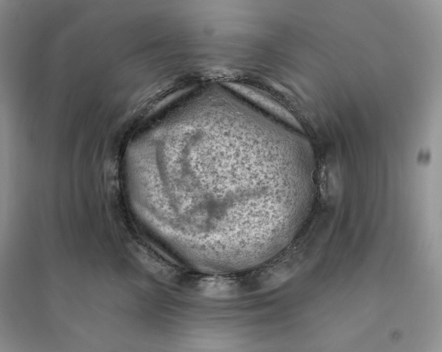 X0000096410714200802071654