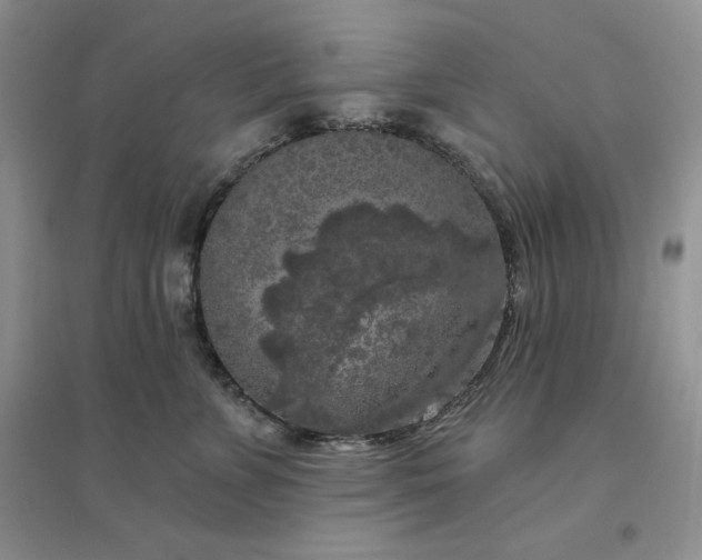X0000096410715200802071654