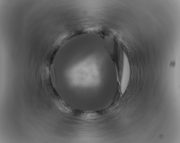 X0000096410716200802071654