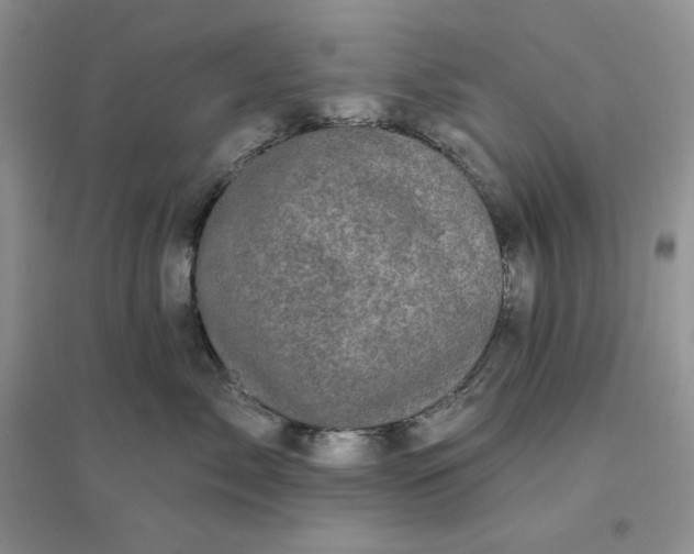 X0000096410717200802071654