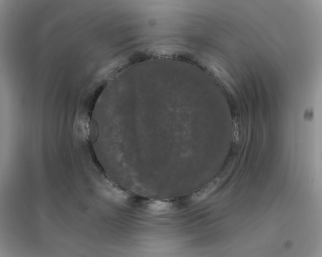 X0000096410718200802071654