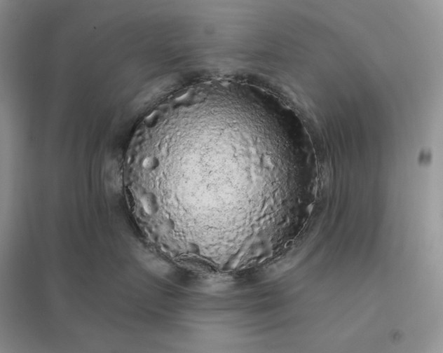 X0000096410719200802071654
