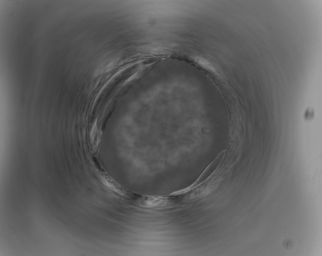 X0000096410720200802071654