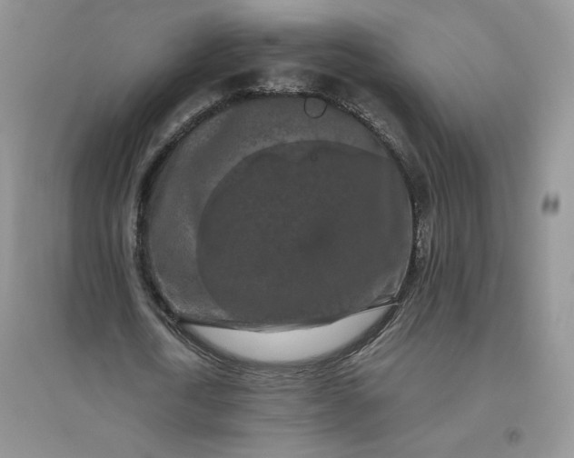 X0000096410722200802071654