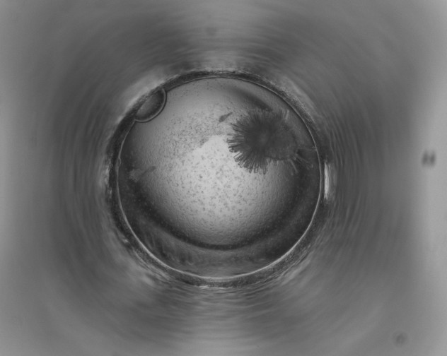 X0000096410723200802071654