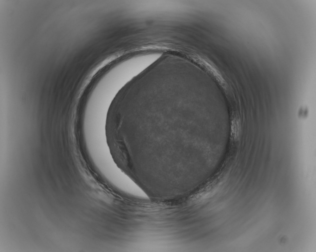 X0000096410724200802071654