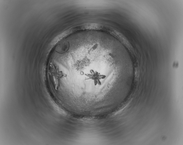 X0000096410725200802071654