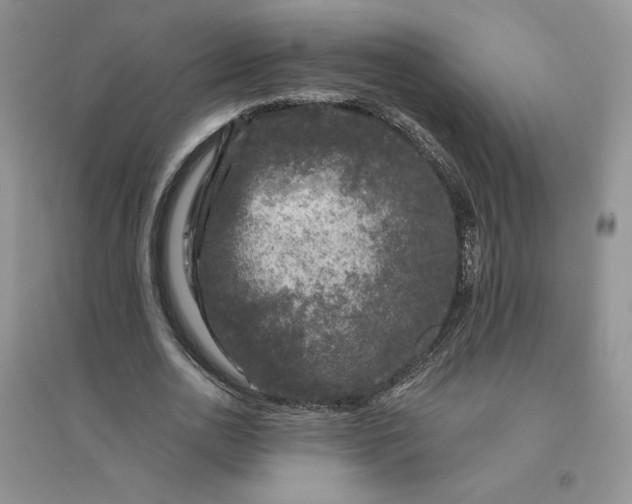 X0000096410726200802071654