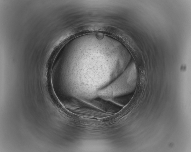 X0000096410727200802071654