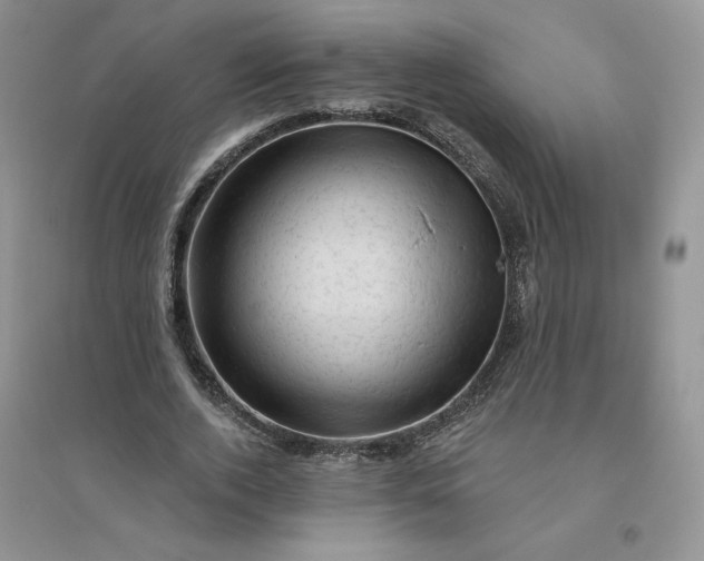 X0000096410728200802071654