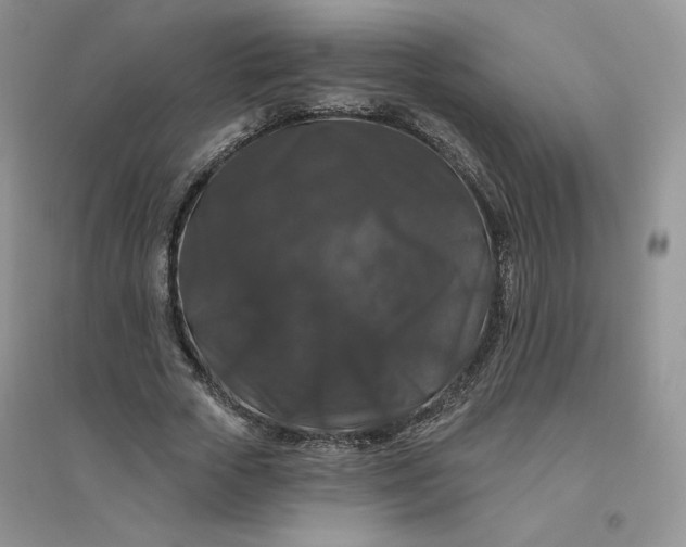 X0000096410729200802071654