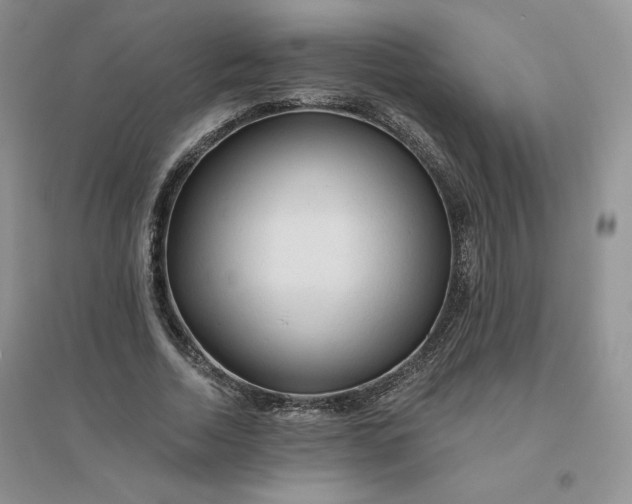 X0000096410730200802071654