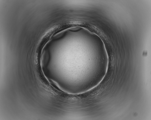 X0000096410731200802071654