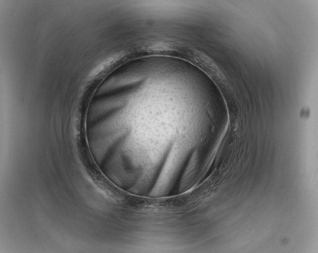 X0000096410732200802071654