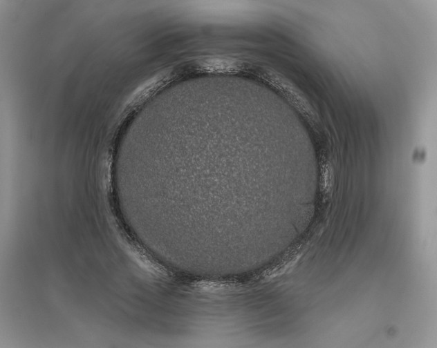 X0000096410733200802071654