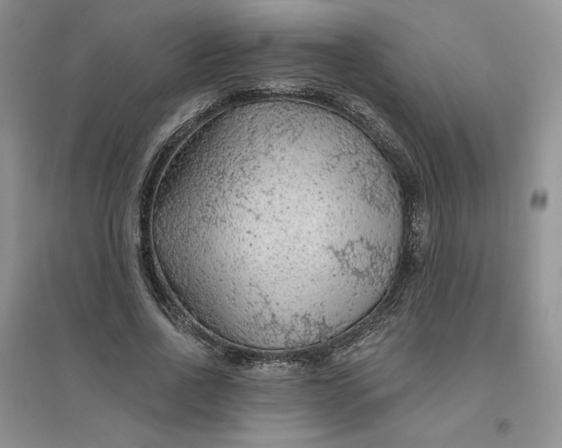 X0000096410734200802071654