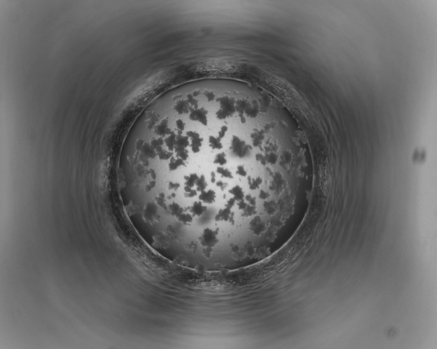 X0000096410735200802071654