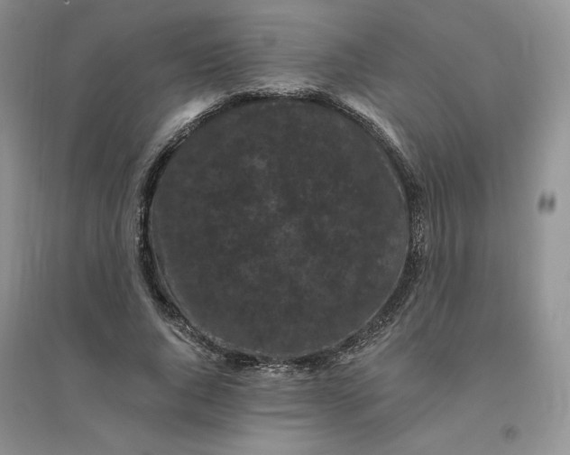 X0000096410736200802071654