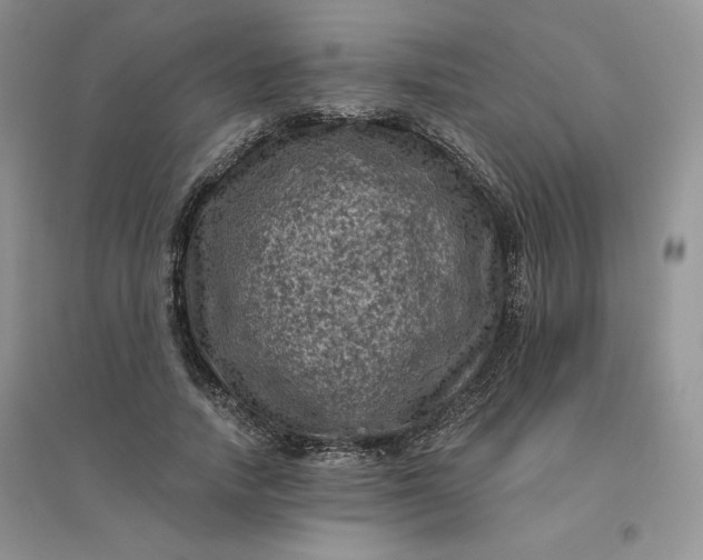 X0000096410738200802071654