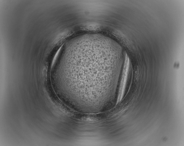 X0000096410739200802071654