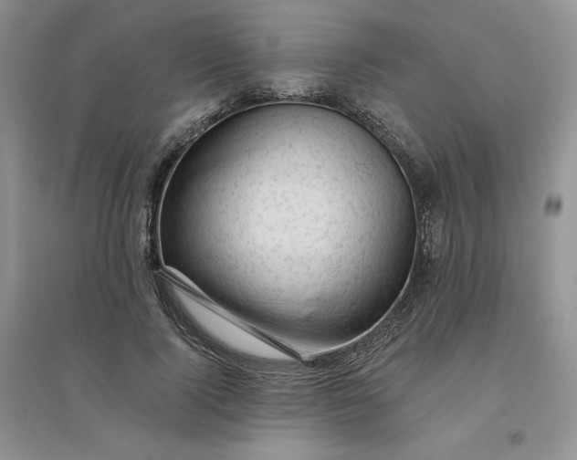 X0000096410740200802071654