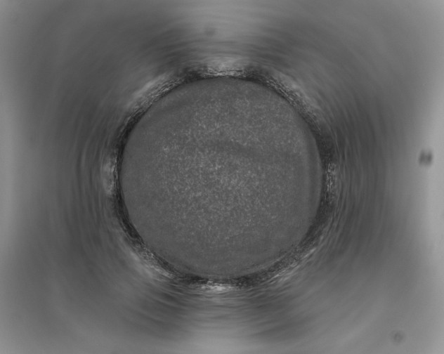 X0000096410741200802071654