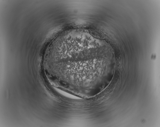 X0000096410742200802071654