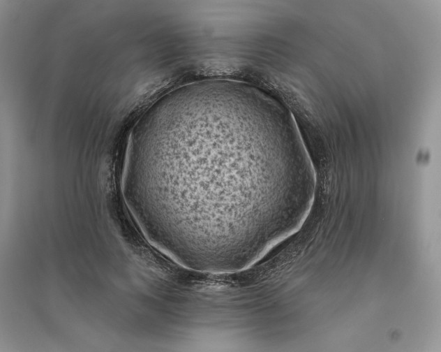 X0000096410743200802071654