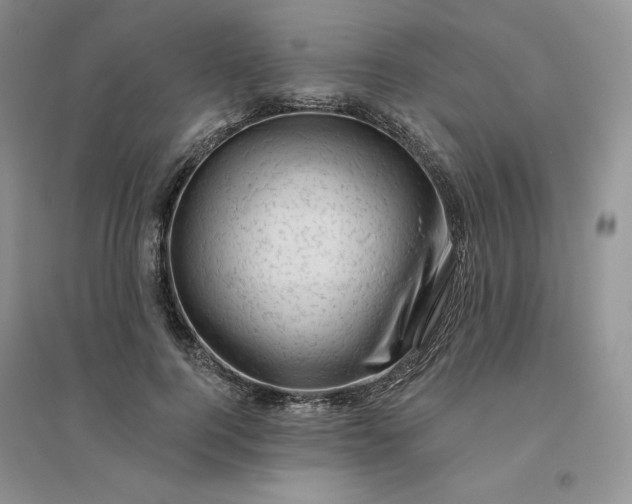 X0000096410744200802071654
