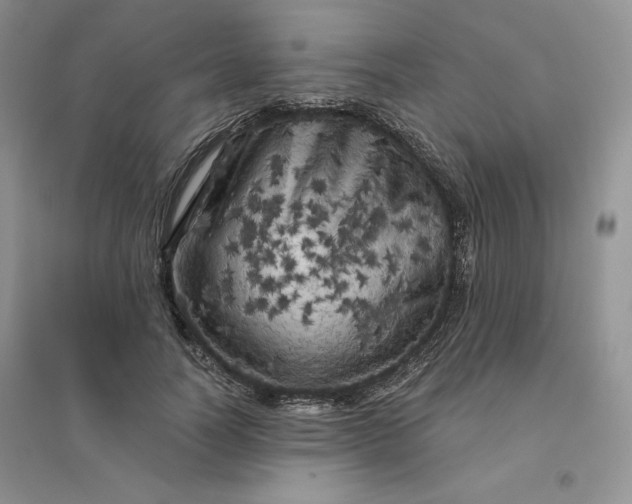X0000096410746200802071654